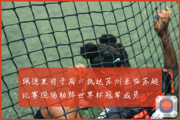 佩德里将于周六抵达苏州亲临苏超比赛现场助阵世界杯冠军成员