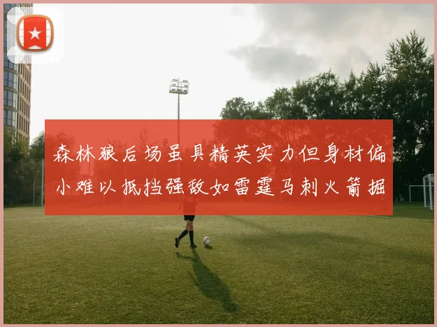 森林狼后场虽具精英实力但身材偏小难以抵挡强敌如雷霆马刺火箭掘金